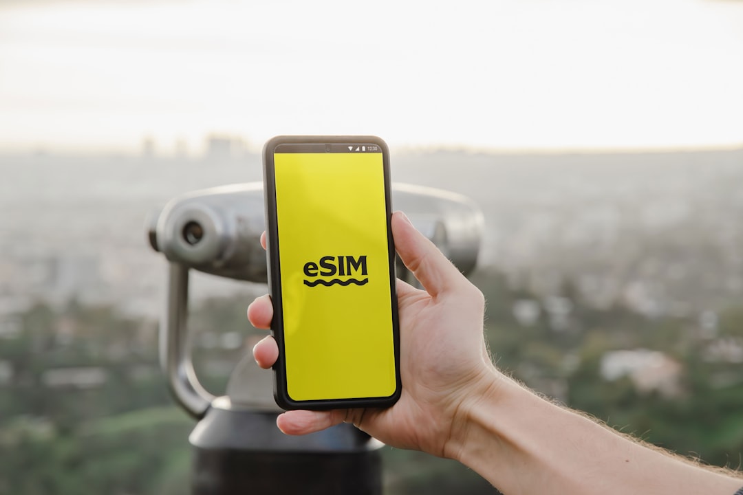 eSIM 이중 번호 활용
